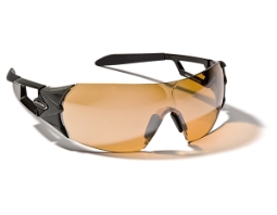 Sportovní brýle Alpina Swing-Shield 42 