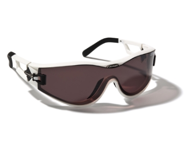 Sportovní brýle Alpina Swing 42 DLQ 