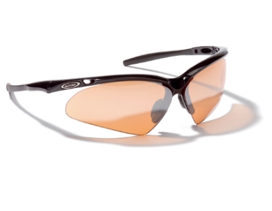 Sportovní brýle Alpina TRI-GUARD 40 