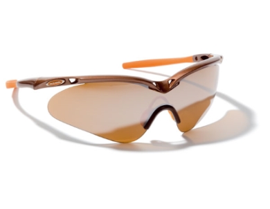 Sportovní brýle Alpina GUARD-SHIELD 