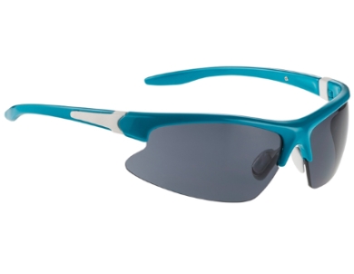 Sportovní brýle Alpina DRIBS 