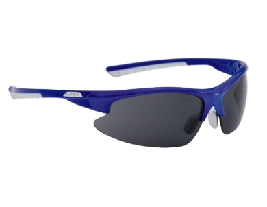 Sportovní brýle Alpina DRIBS 20