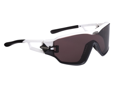 Sportovní brýle Alpina Swing 62 DLQ 