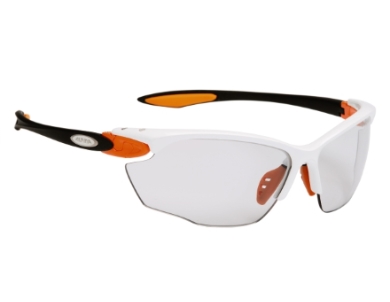Sportovní fotochromatické brýle Alpina TWIST Four VL+ 