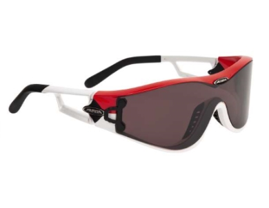 Sportovní brýle Alpina S32 DLQ Mag 