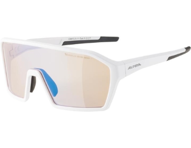 Sportovní brýle ALPINA RAM Q-LITE V